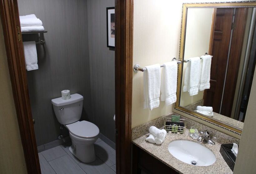 ２ダブルベッドのスタンダードルーム, The Black Swan Lee   Lenox, Ascend Hotel Collection