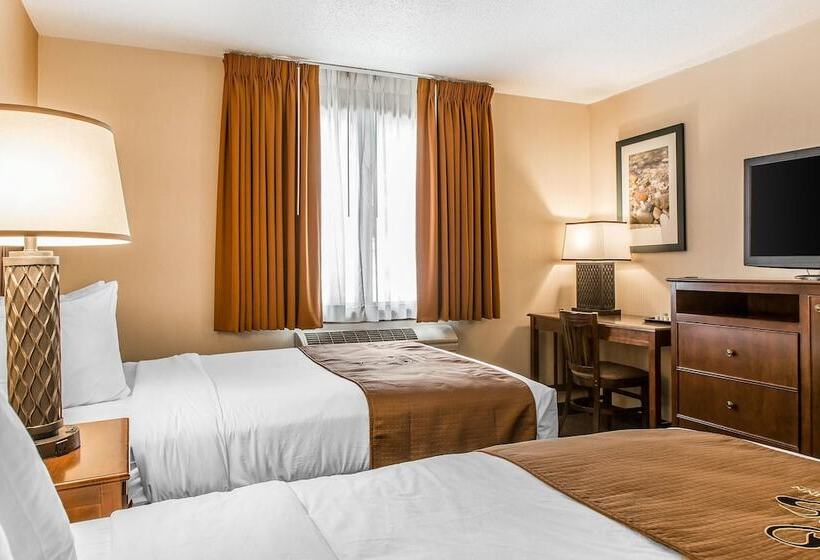 ２ダブルベッドのスタンダードルーム, The Black Swan Lee   Lenox, Ascend Hotel Collection