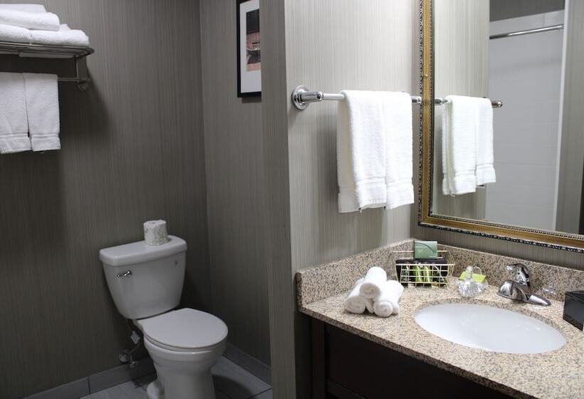 キングサイズベッドのスタンダードルーム, The Black Swan Lee   Lenox, Ascend Hotel Collection