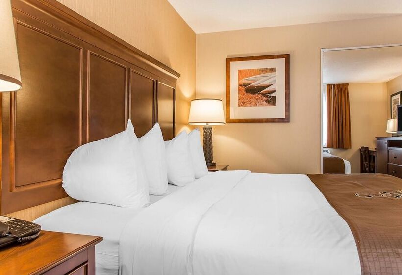 キングサイズベッドのスタンダードルーム, The Black Swan Lee   Lenox, Ascend Hotel Collection