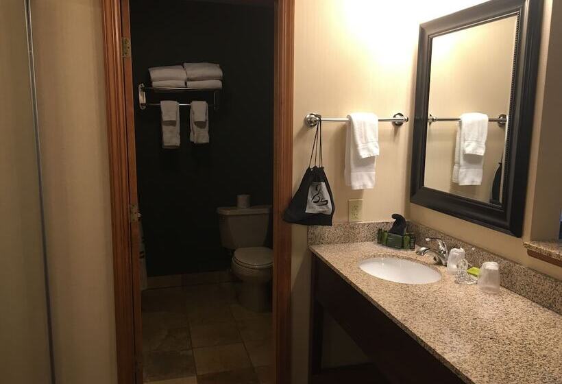 キングサイズベッドのデラックスルーム, The Black Swan Lee   Lenox, Ascend Hotel Collection