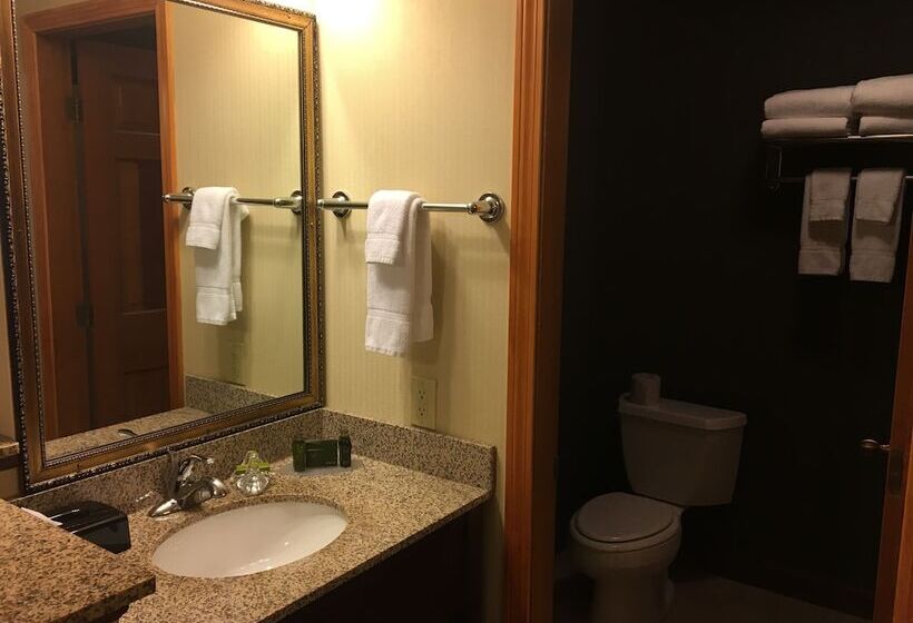 キングサイズベッドのデラックスルーム, The Black Swan Lee   Lenox, Ascend Hotel Collection