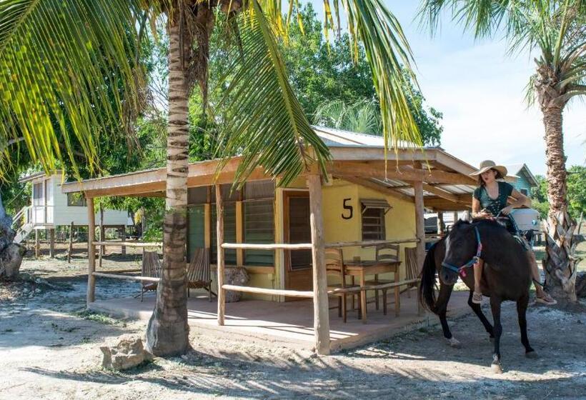 اتاق استاندارد اینتریور, Horse Cottage