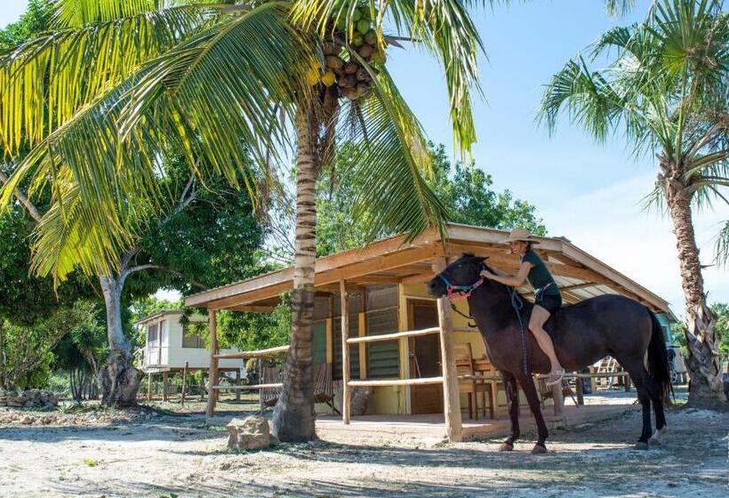 اتاق استاندارد اینتریور, Horse Cottage