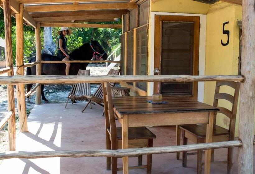 اتاق استاندارد اینتریور, Horse Cottage