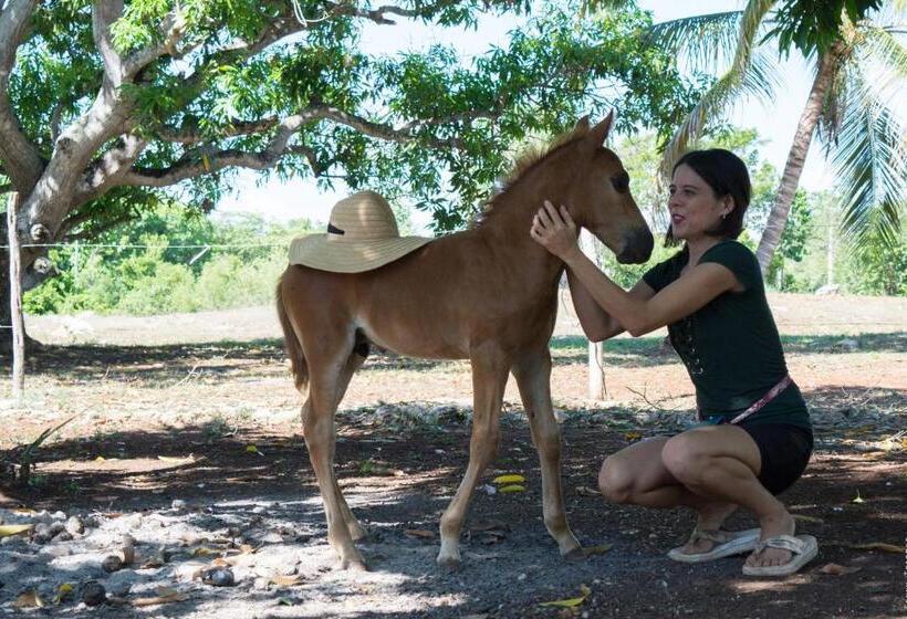 بنگله خانوادگی, Horse Cottage