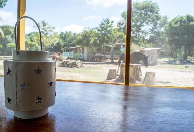 بنگله خانوادگی, Horse Cottage