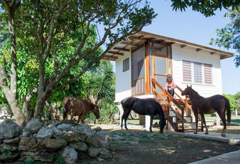 اتاق لوکس سه تخته, Horse Cottage