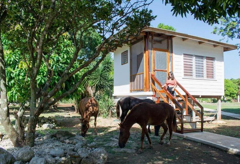 اتاق لوکس سه تخته, Horse Cottage