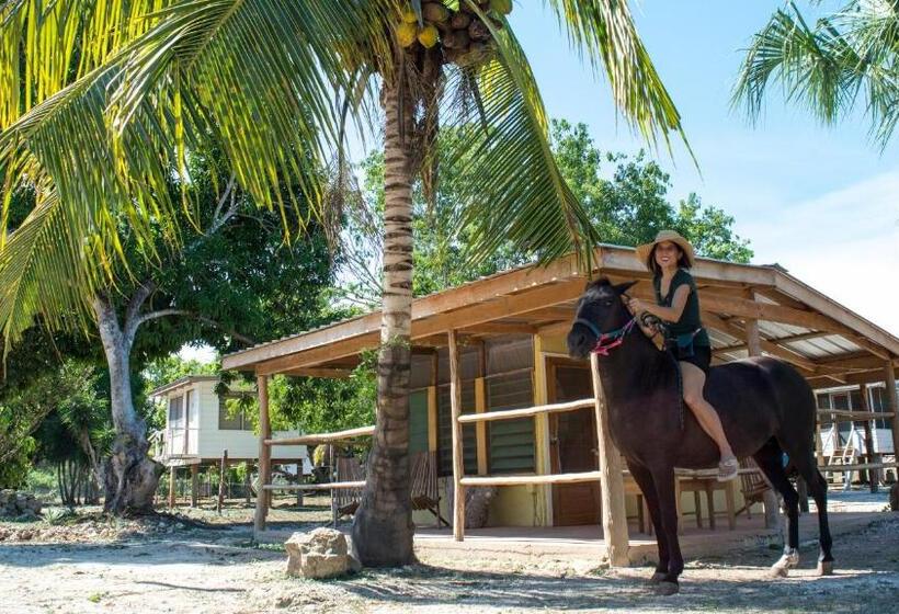 اتاق استاندارد اینتریور, Horse Cottage