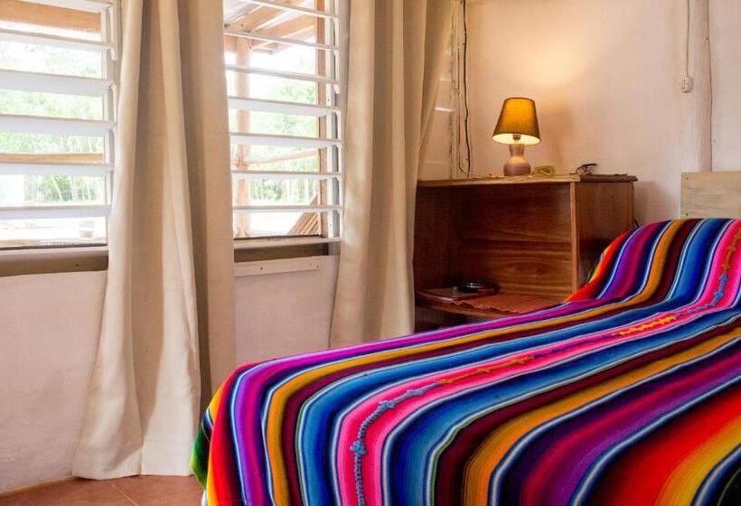 اتاق استاندارد اینتریور, Horse Cottage