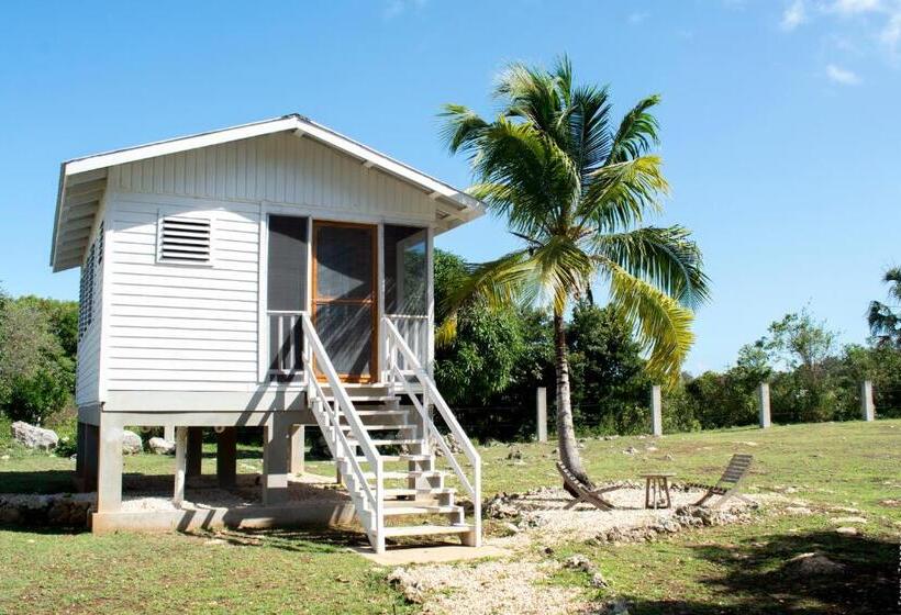 ویلای استاندارد با چشمانداز باغ, Horse Cottage