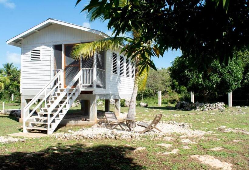 ویلای استاندارد با چشمانداز باغ, Horse Cottage