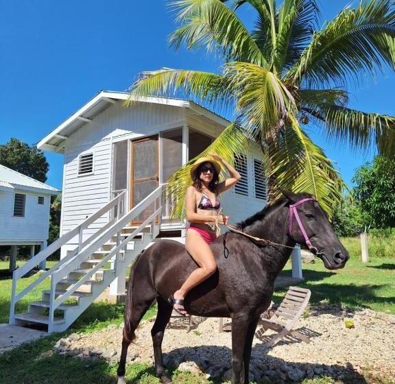 ویلای استاندارد با چشمانداز باغ, Horse Cottage