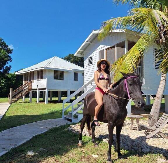 ویلای استاندارد با چشم‌انداز باغ, Horse Cottage