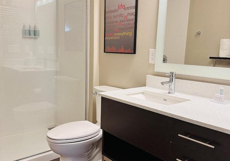 إستوديو قياسى سرير كينج, Towneplace Suites By Marriott Clinton