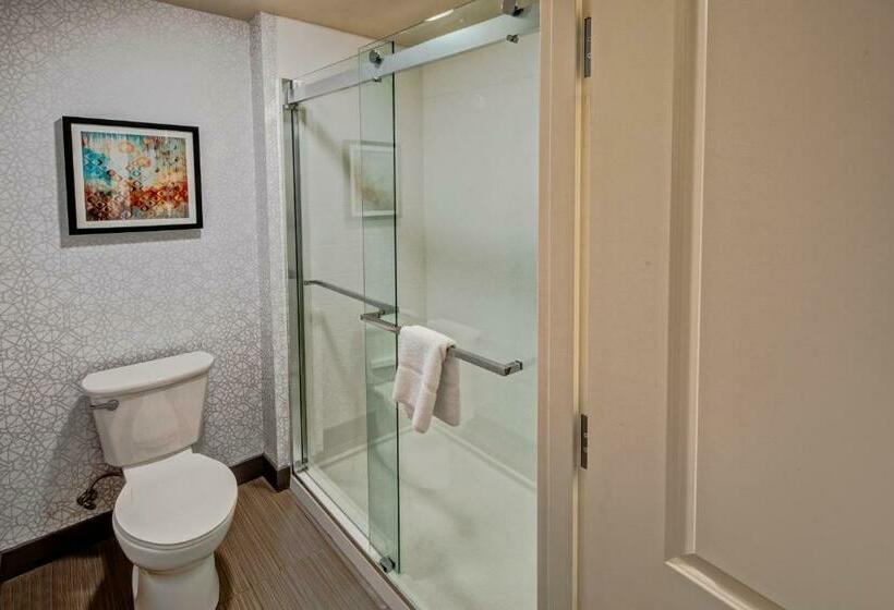 إستوديو قياسى سرير كينج, Hampton Inn Fresno Airport