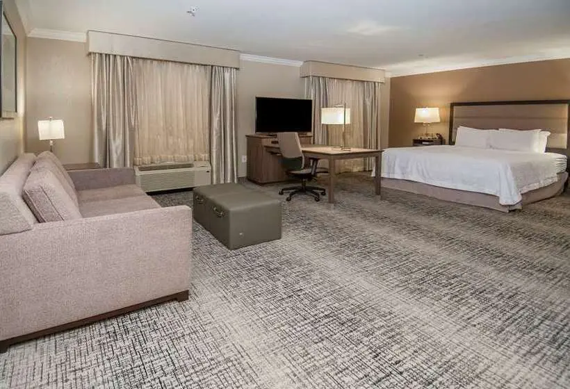 キングサイズベッドのスタンダードルーム, Hampton Inn Fresno Airport