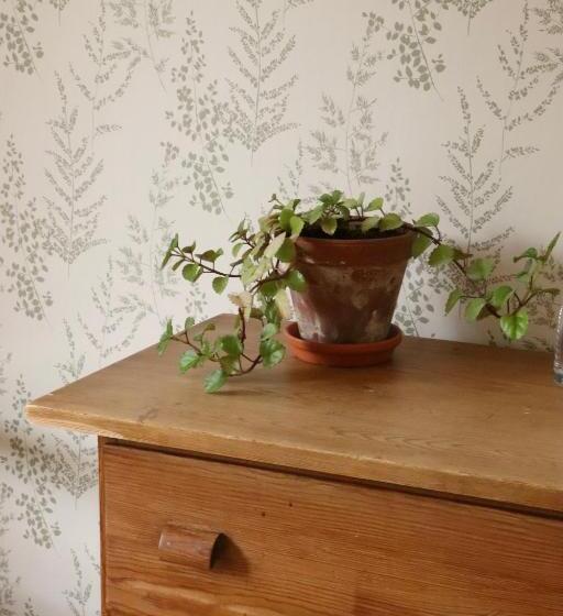 חדר אקונומי יחיד, Turistgården Särna