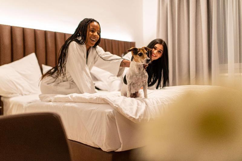 Quarto Estandar, Aiden By Best Western Biberach