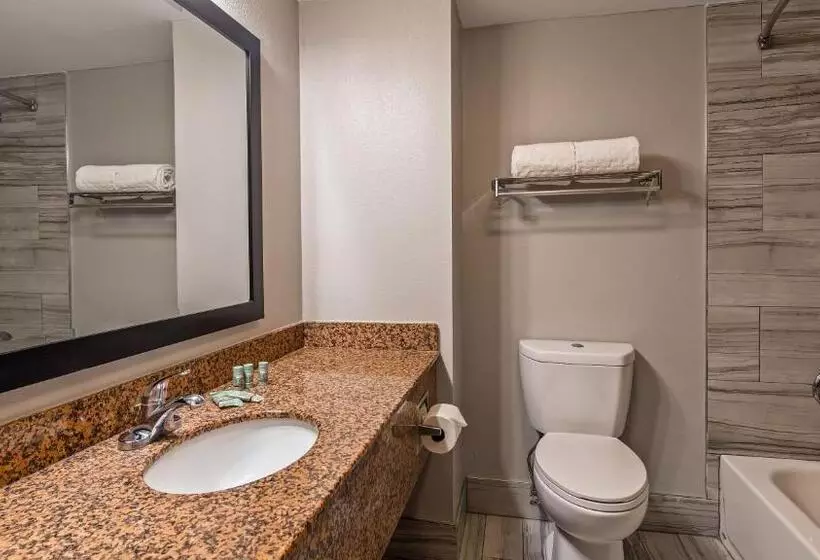スタンダードルーム, Best Western Inn Florence