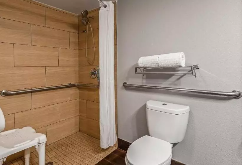 身障者適用キングサイズベッドルーム, Best Western Inn Florence