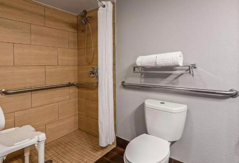 身障者適用キングサイズベッドルーム, Best Western Inn Florence