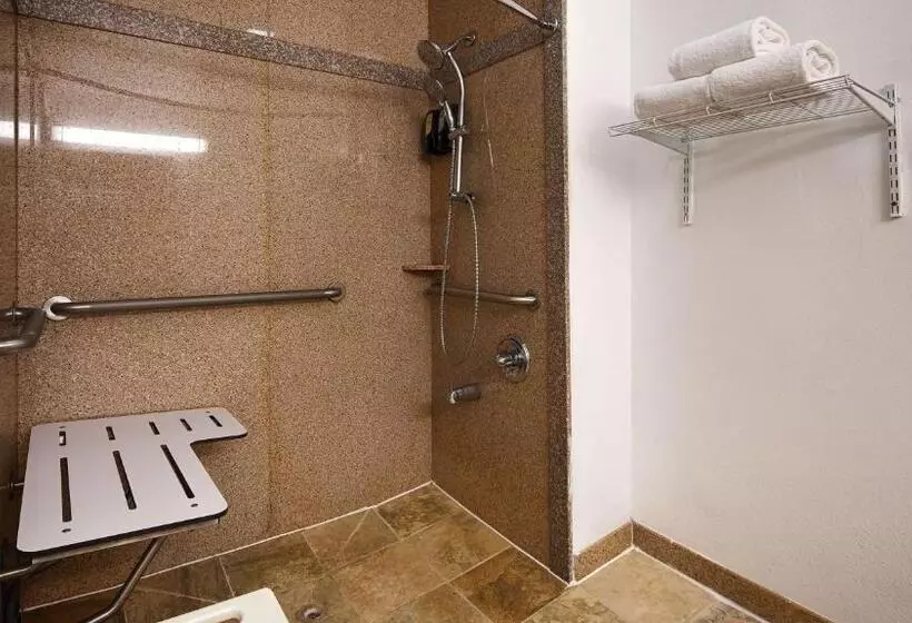身障者適用スタンダードルーム, Best Western Inn Of Brenham