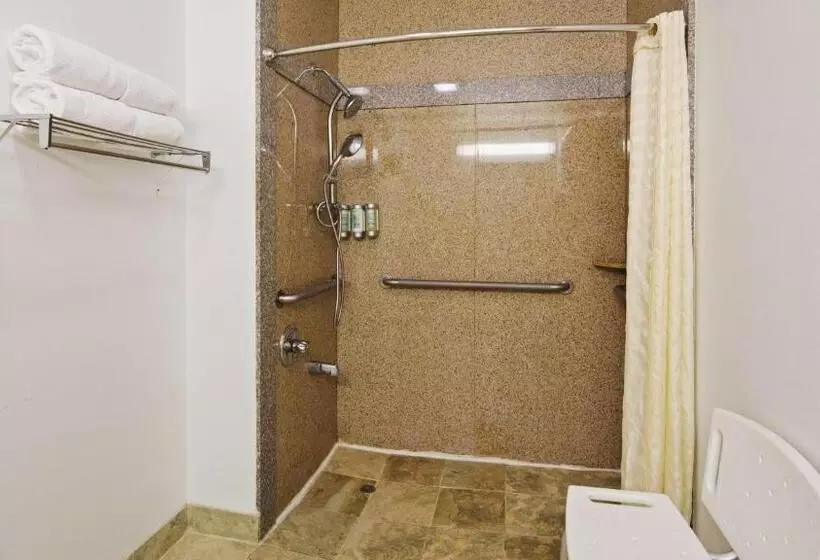 身障者適用スタンダードルーム, Best Western Inn Of Brenham