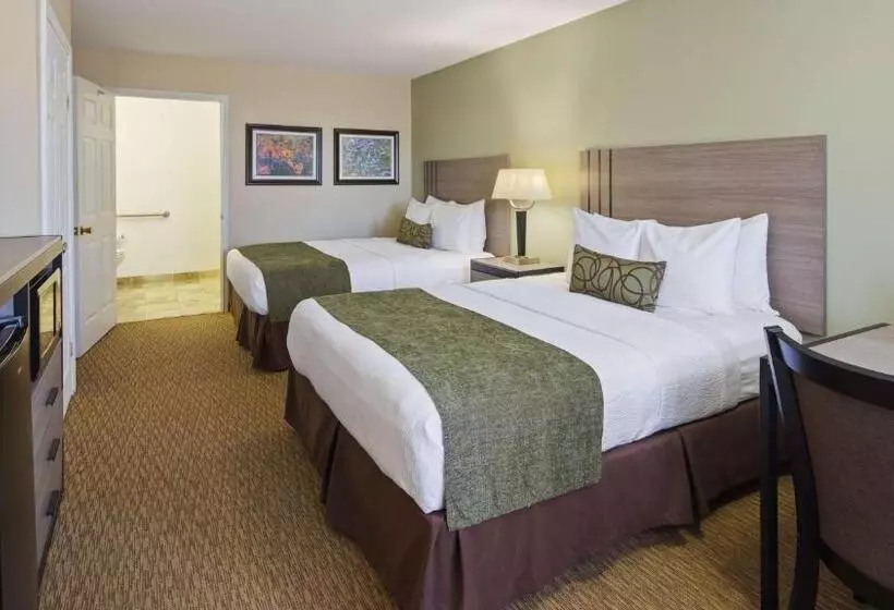 身障者適用スタンダードルーム, Best Western Inn Of Brenham