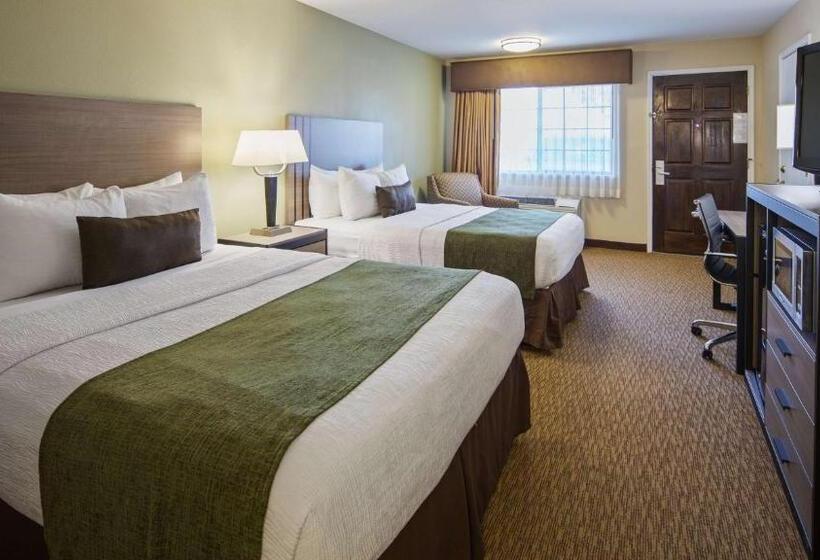 身障者適用スタンダードルーム, Best Western Inn Of Brenham