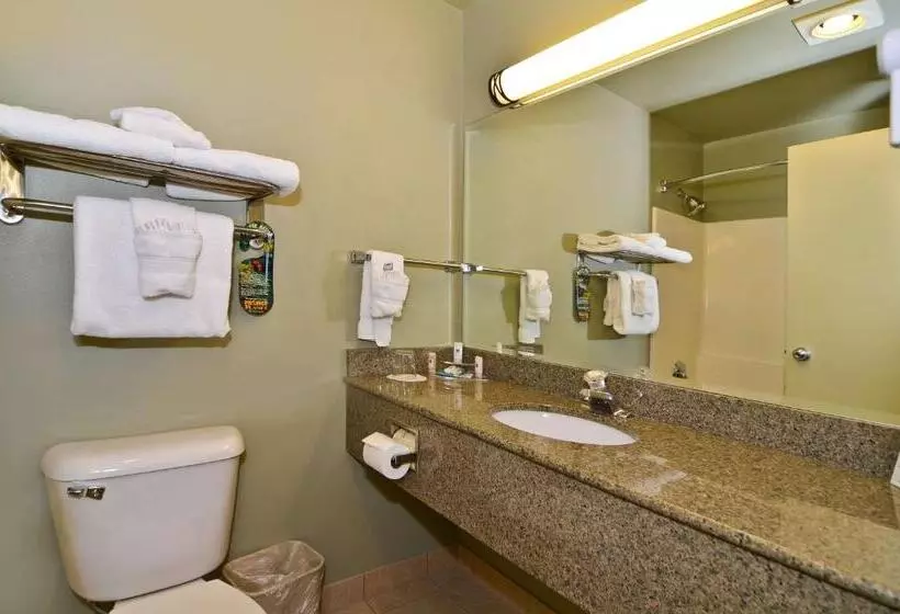 スタンダードルーム, Best Western Plus Kennewick Inn
