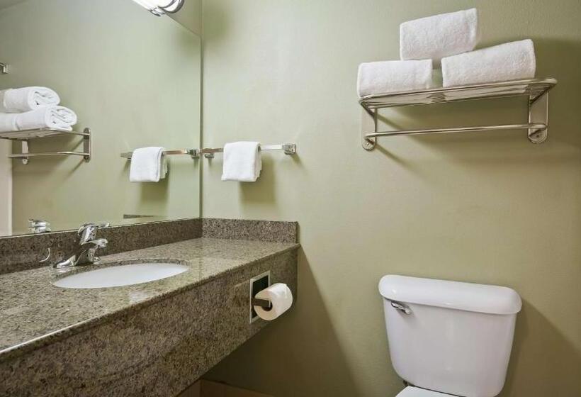 غرفة قياسية سرير كينج, Best Western Plus Kennewick Inn