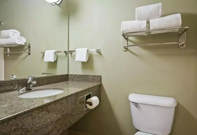 キングサイズベッドのスタンダードルーム, Best Western Plus Kennewick Inn