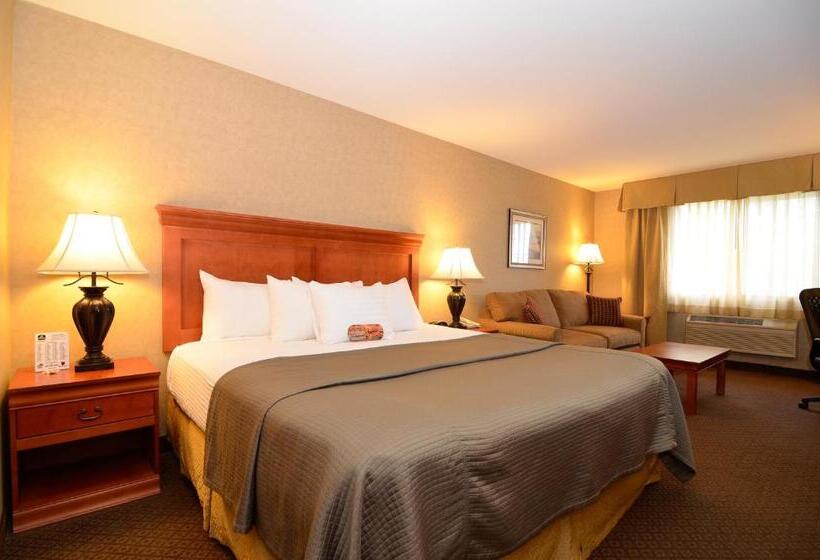 غرفة قياسية سرير كينج, Best Western Plus Kennewick Inn