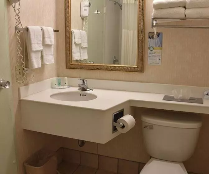 Sviitti, Quality Inn & Suites Near I480 And I29