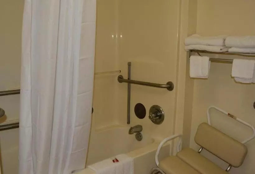 身障者適用スタンダードルーム, Travelodge By Wyndham Montgomery East