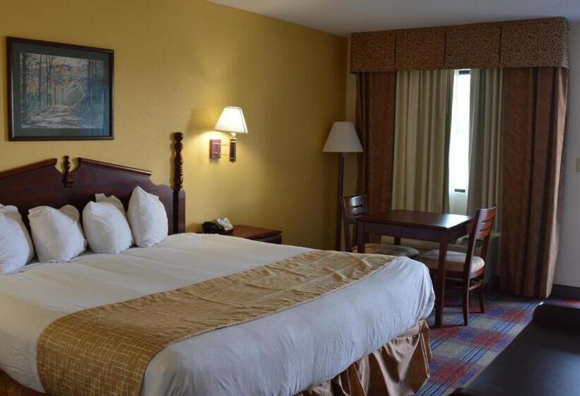 Номер Стандарт Кровать Кинг Адаптированный для Инвалидов, Travelodge By Wyndham Montgomery East
