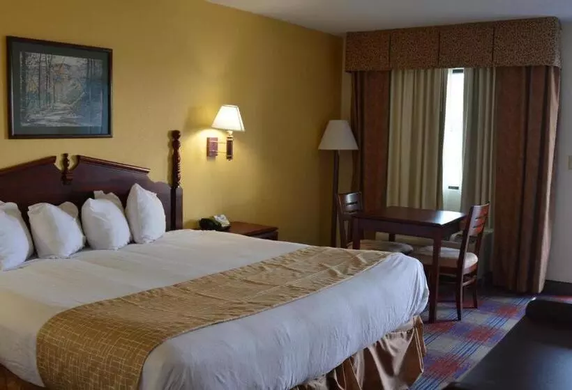 身障者適用キングサイズベッドルーム, Travelodge By Wyndham Montgomery East