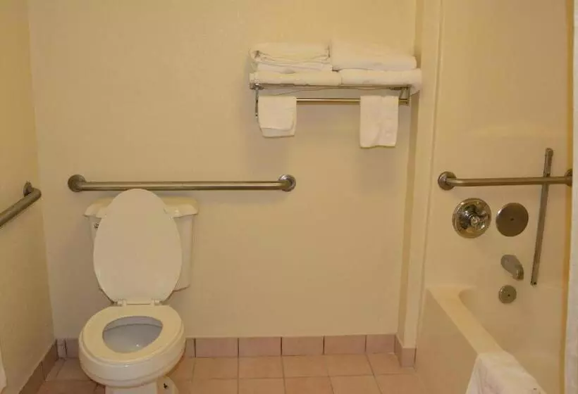 身障者適用キングサイズベッドルーム, Travelodge By Wyndham Montgomery East