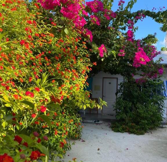 اتاق لوکس, Lagoon Villa Thoddoo