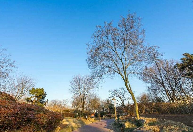 آپارتمان 1 خوابه, Xinyuju · Park Next To The Two Chic Sun Square Botanical Garden Wanxiang Integration