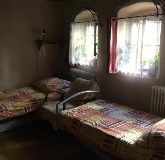 ルームシェアのワンベッド, Hostelskippy