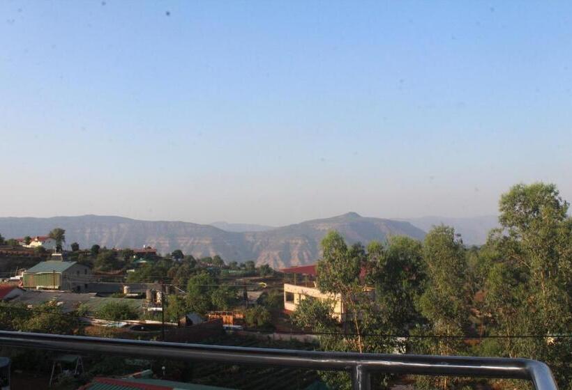 Standardrum, Megafarm Inn