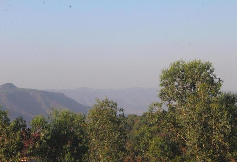 Standardrum, Megafarm Inn