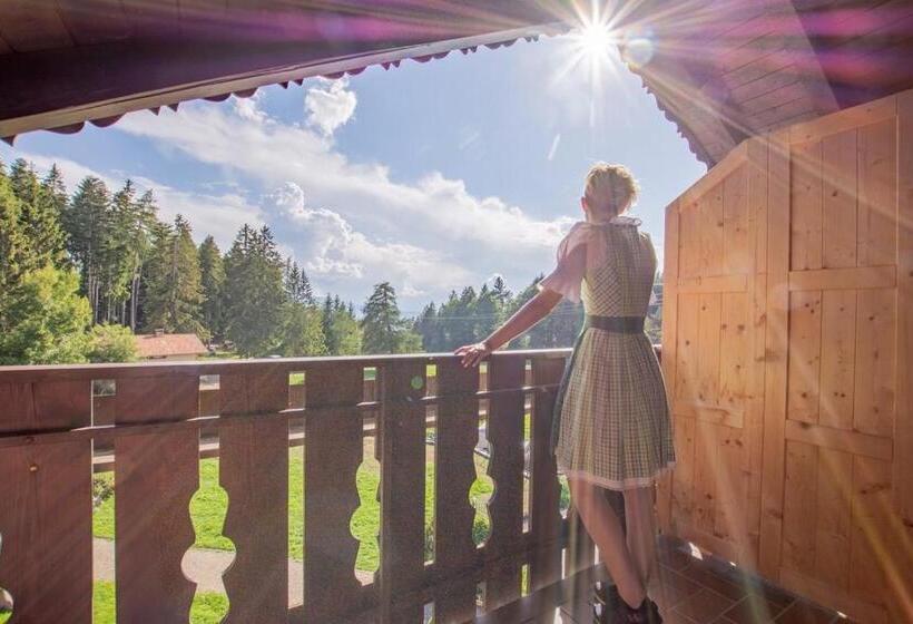 Номер Стандарт с Балконом, Gasthof Schneiderwiesen