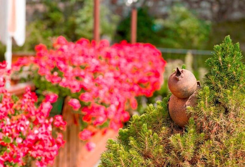 Номер Стандарт с Балконом, Gasthof Schneiderwiesen