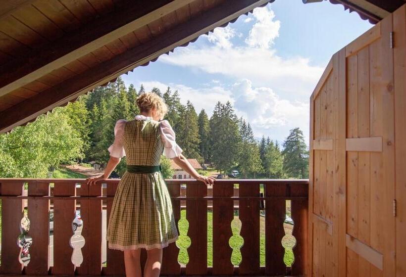 Номер Стандарт с Балконом, Gasthof Schneiderwiesen
