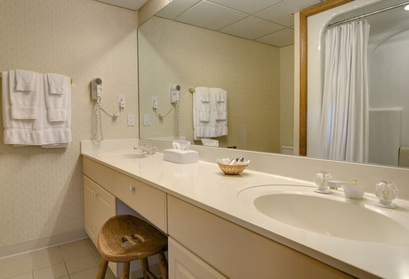 غرفة قياسية, The Highlands At Harbor Springs