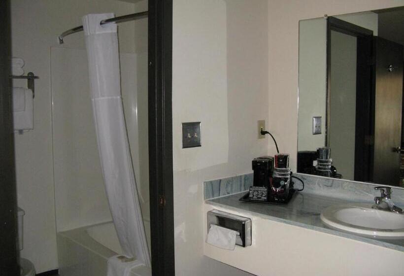 스탠다드 룸, Branding Iron Motel